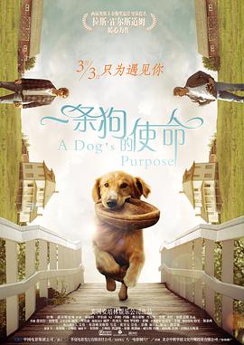国产成人性毛片aaww